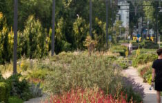 Groene fietsexcursie tijdens KAN Congres in Utrecht